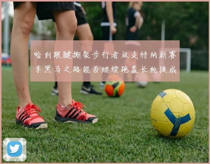 哈利跟腱撕裂步行者放走特纳新赛季黑马之路能否继续跑轰长轮换成关键