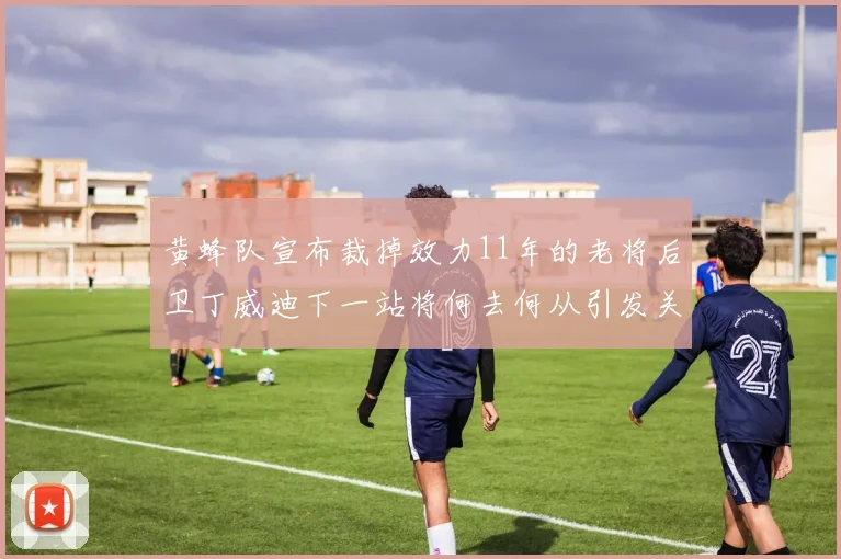 黄蜂队宣布裁掉效力11年的老将后卫丁威迪下一站将何去何从引发关注