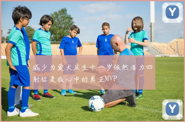 威少为爱犬庆生十一岁依然活力四射你是我心中的真正MVP