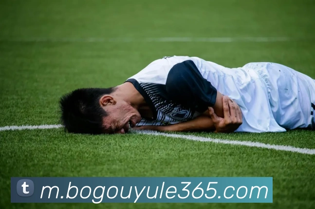 博狗娱乐平台生态图