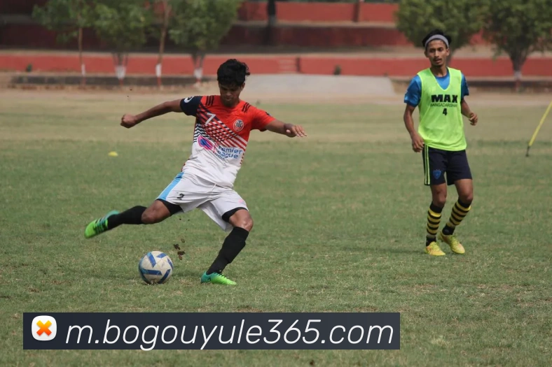 博狗娱乐APP 封面图